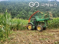 평창군, 사료작물 수확기 연시회 개최…농기계 활용 시연