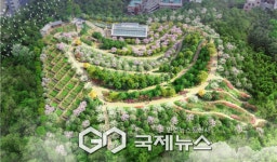 중랑구, 용마산 일대 1만7천㎡ 생활밀착숲 조성 추진