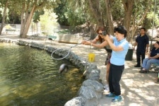 [마운틴 볼디 송어 양식장] 송어 한 마리 잡는 건 식은 죽 먹기