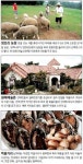 [내 고향을 가다:경남 남해군]아, 그 섬에 다시 가고 싶다…멋·맛·볼거리 가득한 남해로