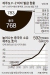 중국인, 제주 도심 모텔·아파트까지 사재기
