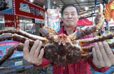 다시 뚫은 물길 포항운하에 죽도시장도 활기