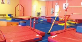 [불황 탈출 프랜차이즈] 더 리틀 짐(The LittleGym)…어린이들의 개성과 체력에 맞게 신체적 훈련 단련