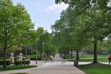 일리노이대, 등록금 동결 결정