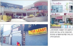 식당 오픈 늘었는데…아직도 빈 상가 많네