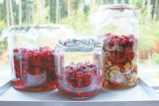 싱싱한 햇작물, 살아있는 효소로 먹자