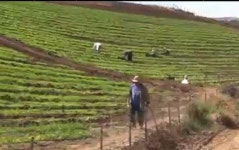 SD, ‘스몰팜 허브’로 뜬다