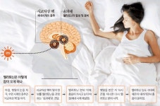 잠 못자면 고혈압·당뇨병 악화…햇빛 쬐고 멜라토닌 복용해야