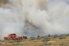 5번 프리웨이 옆 덤불에 불