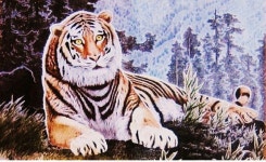 [지상 갤러리]한반도백두산호랑이