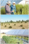 먹거리 중요성 깨닫고 귀농…초보 농부 이근우·수연씨 부부