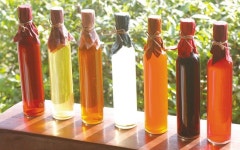 정성 녹여 담은 건강…‘꽃 · 잎 · 곡물’ 천연 식초