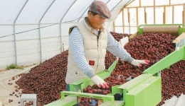  [반퇴 라이프] 제대로 알려지면 대추 마켓 크게 성장할 것 