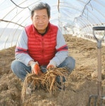  [반퇴 라이프] 도라지 직접 캐주니 인기 좋아요 