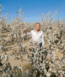  매화 꽃 보러 오세요 