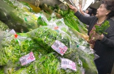  (코리아타운뉴스) Spring Veggies Hit K-Town Markets 