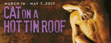  린다 박 주연 양철 지붕 위의 고양이  