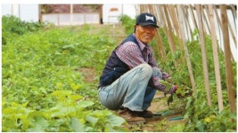  “건강에는 농사가 최고” 사철 과실·야채 재배…에덴 사철농원 김종구씨  