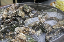  거제 대명리조트 주변 겨울 제철 굴구이 맛집 거제도해물뚝배기 