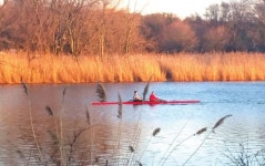  [걷다가 찰칵] 봄이 오는 소리를 들으며… 