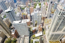  뉴욕 닮아가는 가주 주거 형태 