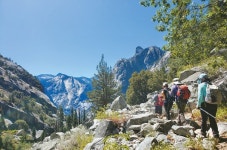 인적 드문 산길 곰 두 마리를 만나다