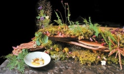 내일의 한식 조리 중입니다…문 열자마자 미쉐린 1스타