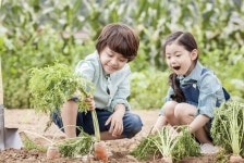 알찬 방학, 저학년은 실습 고학년은 독서로