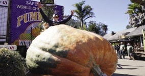 [한 컷] 1톤짜리 호박 가주 대회 우승