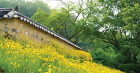 [수필] 나의 고향 집