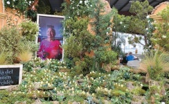 코로나 사망자 추모 작품 설치