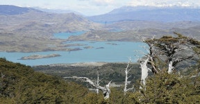굉음·연기 속에 무너지는 낙빙 장관
