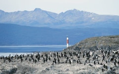 아침 햇살에 황금빛 피츠로이의 숨 막히는 장관