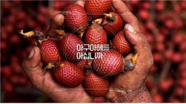 아구아헤 오일, 드디어 한국 시장 상륙