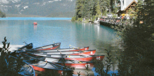 [정호영의 바람으로 떠나는 숲 이야기] 세상에 없는 신비함을 만나다