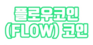 블록체인 전문가들이 기대하는 NFT코인 ‘플로우(FLOW)토큰 주목’