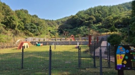 목포시 반려동물 전용 놀이터 22일 개장…180마리 동시 수용