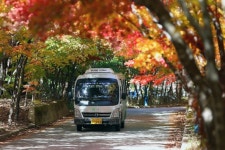 [인제]인제 하늘내린 마을버스 이용객 1만명 넘어 인기