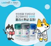종근당바이오 ‘라비벳’, 이마트·스타필드 몰리스펫샵 입점