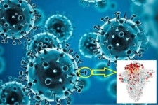 부산 어린이집·학원서 집단감염… 오미크론 ‘지역 감염’ 11명 발생