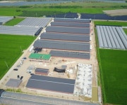 안성시, 시민과 축산농가 상생을 위한 무창축사 표준모델 설계 용역 착수 예정