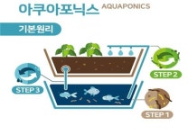 부산 9개 공공기관, 스마트팜 4호점 개소…물고기·채소 함께 기른다