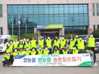 경남농협, 양파 재배농가 농촌일손돕기 실시