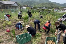 장흥군 부산면행정복지센터, ‘희망의 땀방울’ 농촌일손돕기