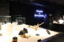 [가보니&비즈] 편의점에 깔린 ‘검은사막’…펄어비스X이마트24 팝업 방문기