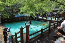 보성군, 제암산자연휴양림 광주 근교 피서지로 인기