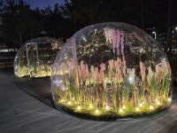 구리시, 장자호수생태공원에 투명한 버블 모양 돔과 플랜테리어-경관조명 설치