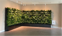 대구시, ‘스마트가든’ 34개소 설치…10억원 투입