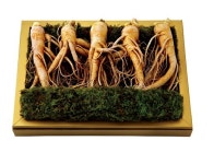 갤러리아백화점, 2023 추석 선물세트 본판매 개시