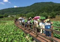 인제 냇강마을, 강원특별자치도 엄지척 명품마을 선정